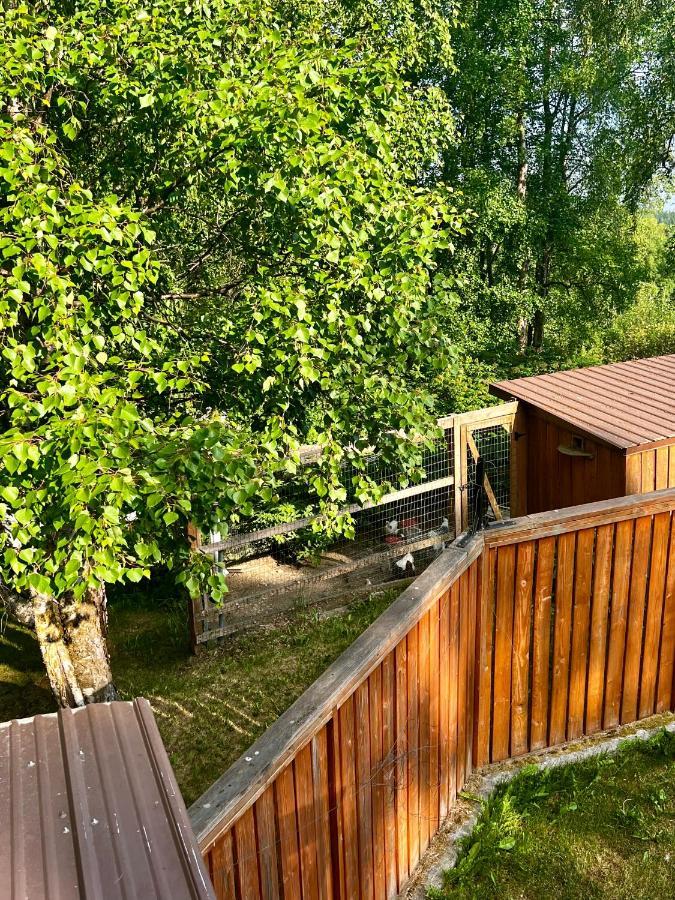 Villa Indian Ak 25 Min To Anchorage & 25 Min To Girdwood Extérieur photo