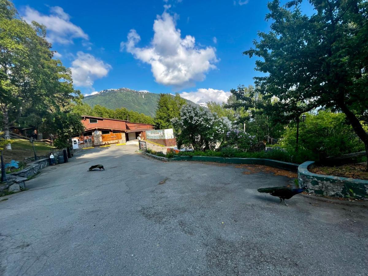Villa Indian Ak 25 Min To Anchorage & 25 Min To Girdwood Extérieur photo