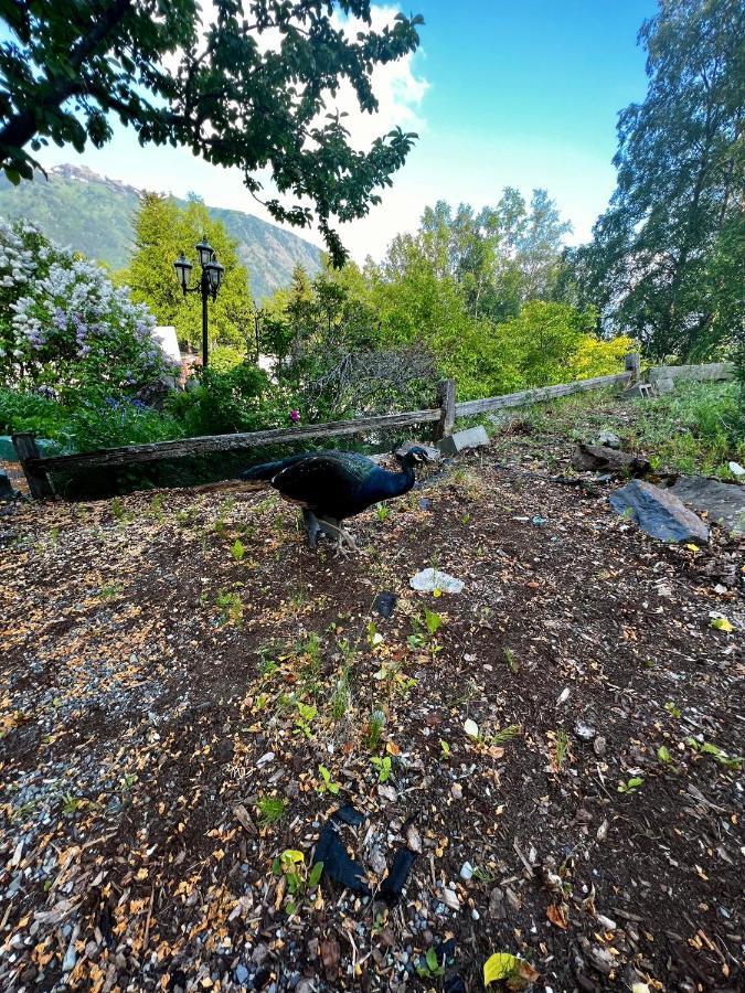 Villa Indian Ak 25 Min To Anchorage & 25 Min To Girdwood Extérieur photo