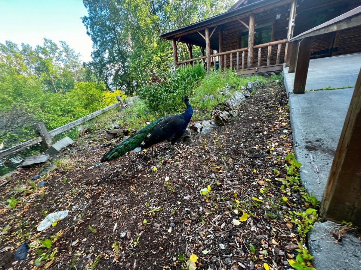 Villa Indian Ak 25 Min To Anchorage & 25 Min To Girdwood Extérieur photo